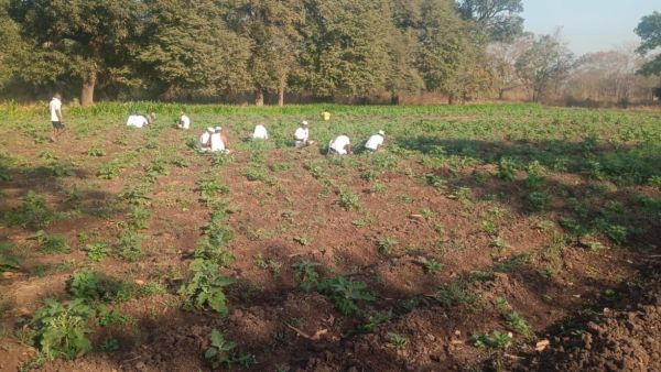Yerawada prison veg supply