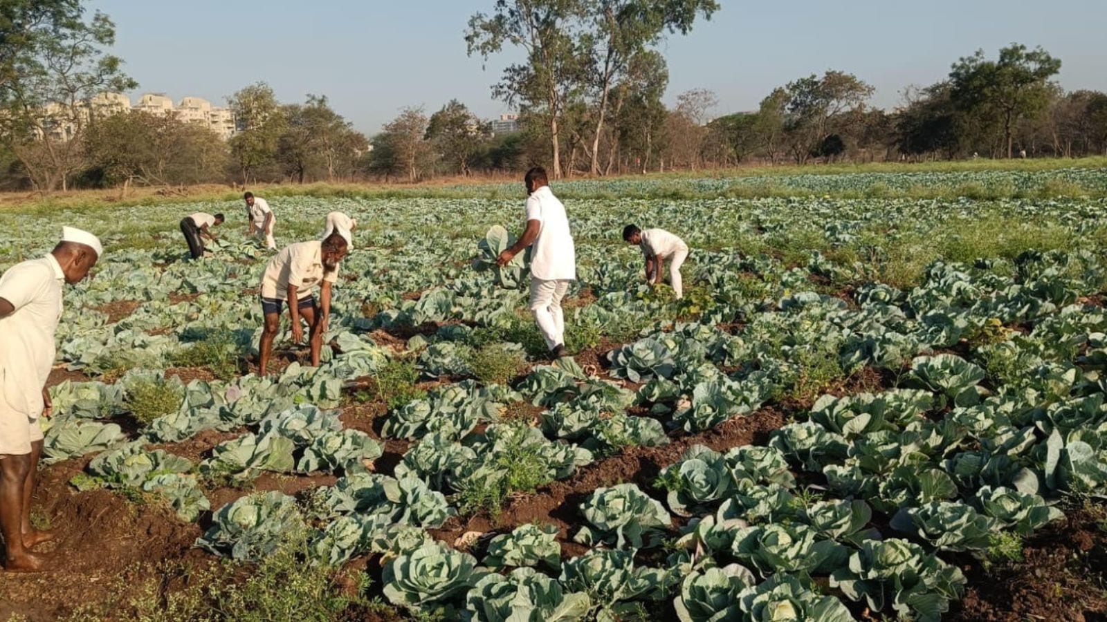 The Art of Baking: From Classic Bread to Artisan Pastries
