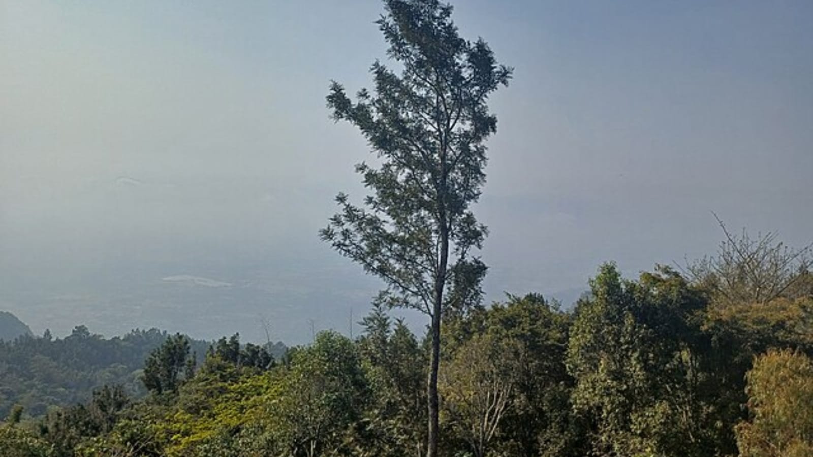 Secret south Indian hill stations you need to visit