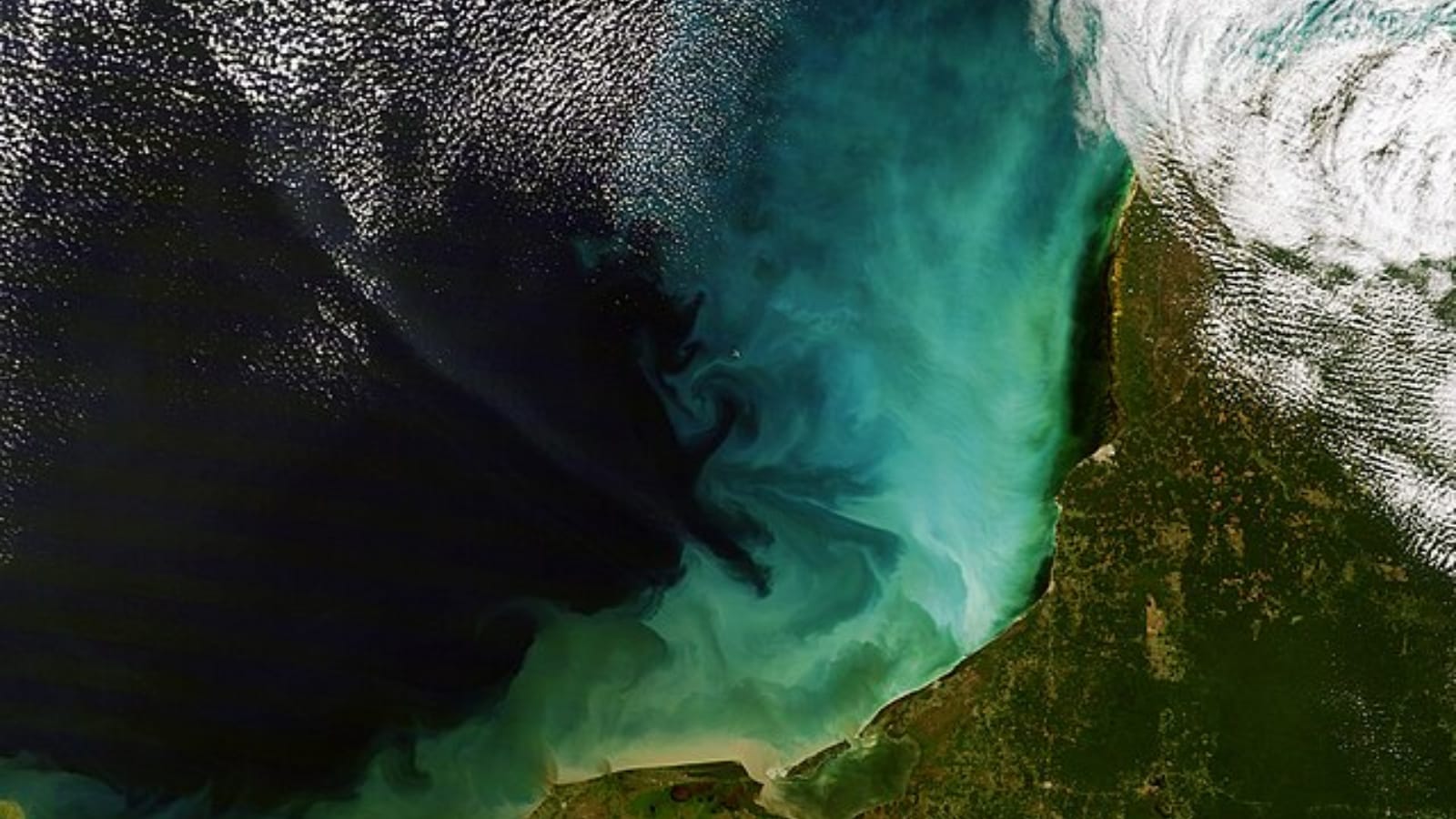 Six places where you’ll find abundance of natural honey