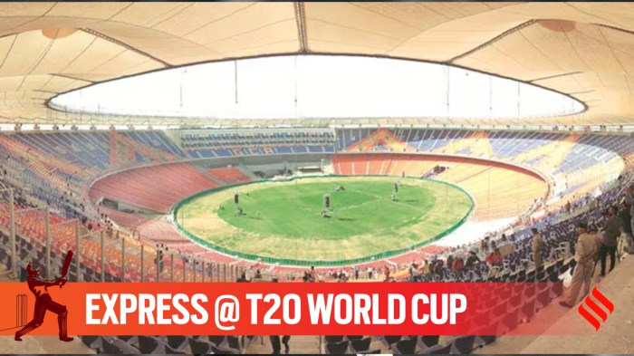 Why does the India vs New Zealand T20 World Cup final pitch have more red soil than black soil?