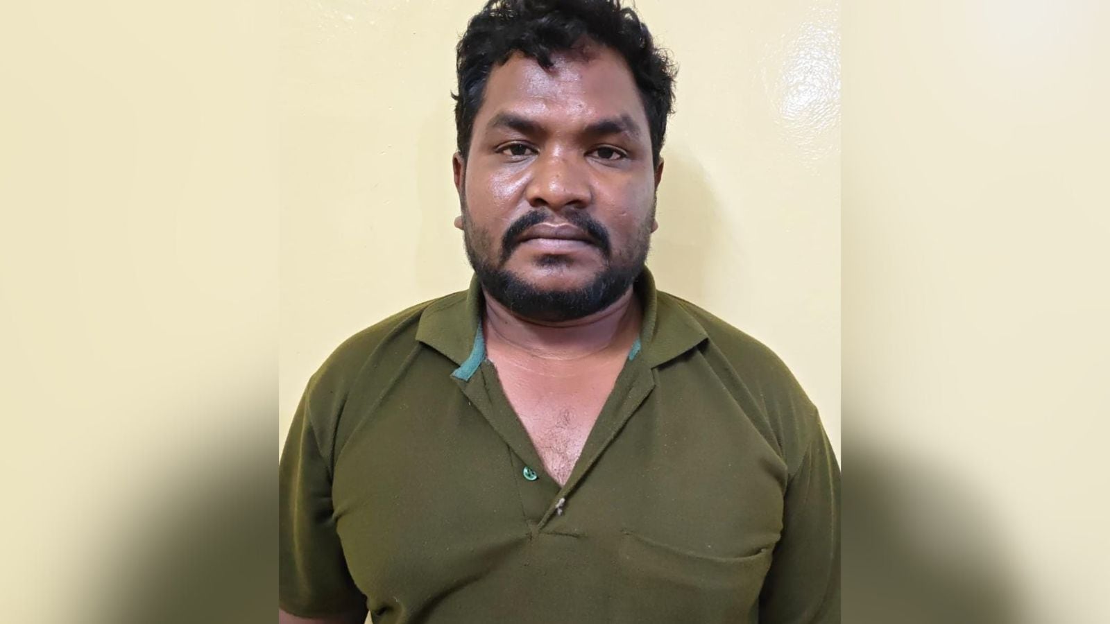 The Art of Baking: From Classic Bread to Artisan Pastries