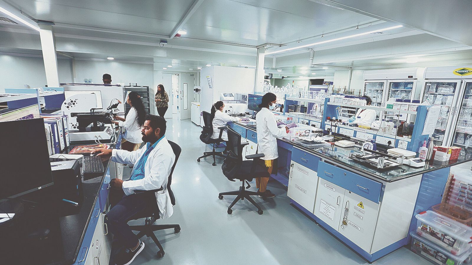 IIT Madras brain atlas