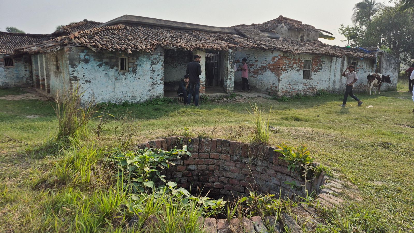 The Art of Baking: From Classic Bread to Artisan Pastries