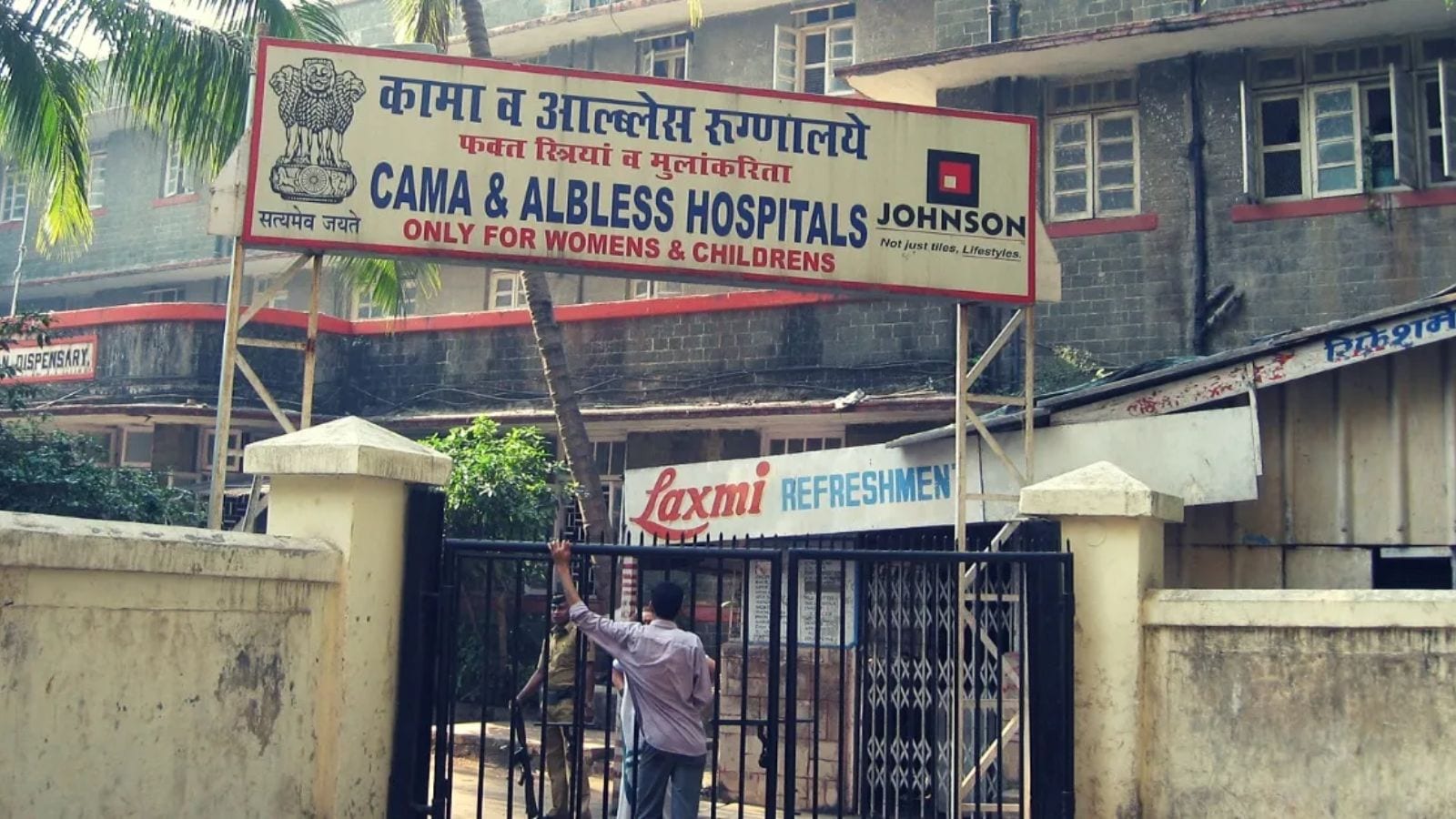 The Art of Baking: From Classic Bread to Artisan Pastries