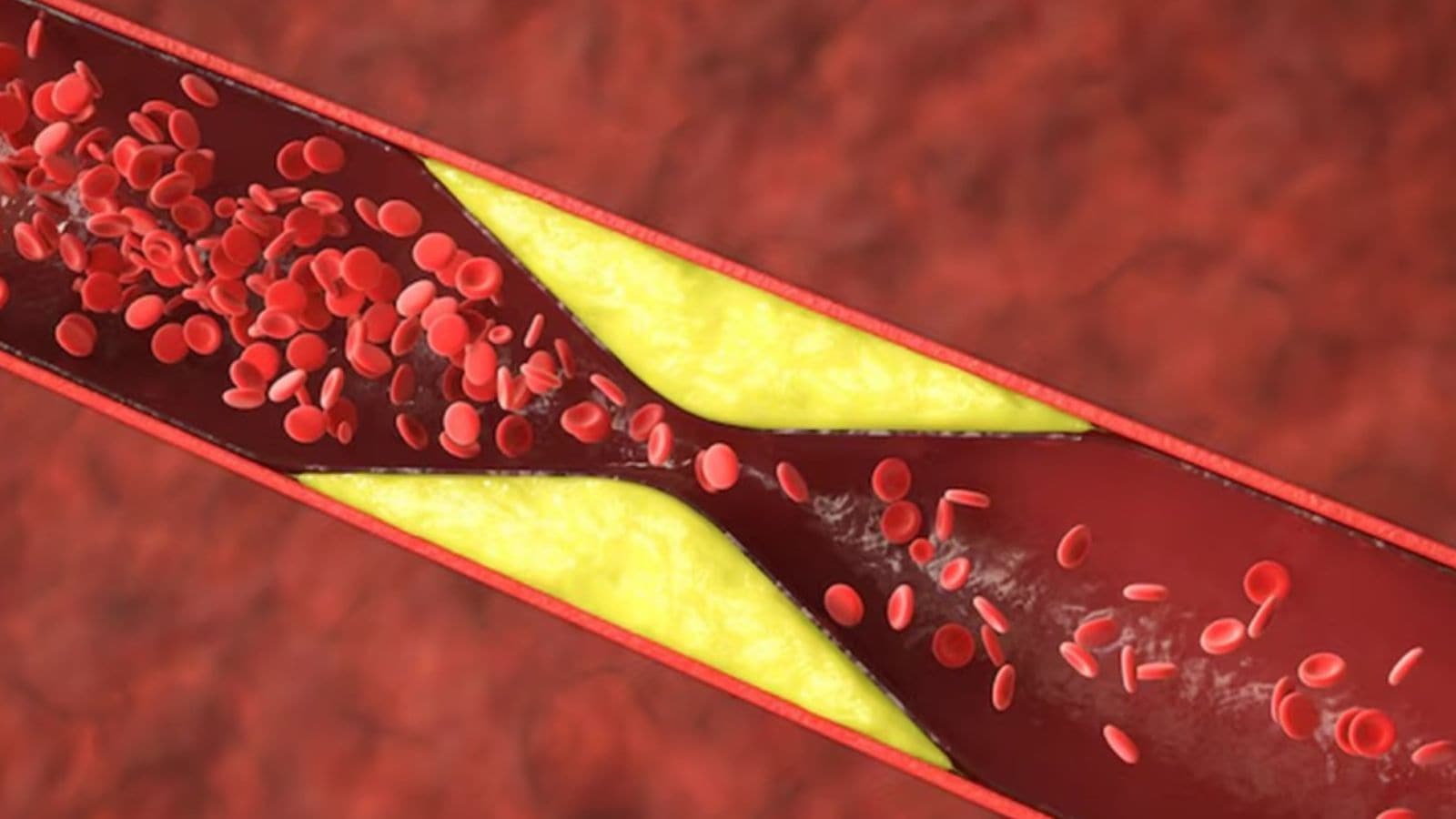 The Art of Baking: From Classic Bread to Artisan Pastries