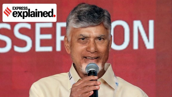 Andhra Pradesh CM N Chandrababu Naidu