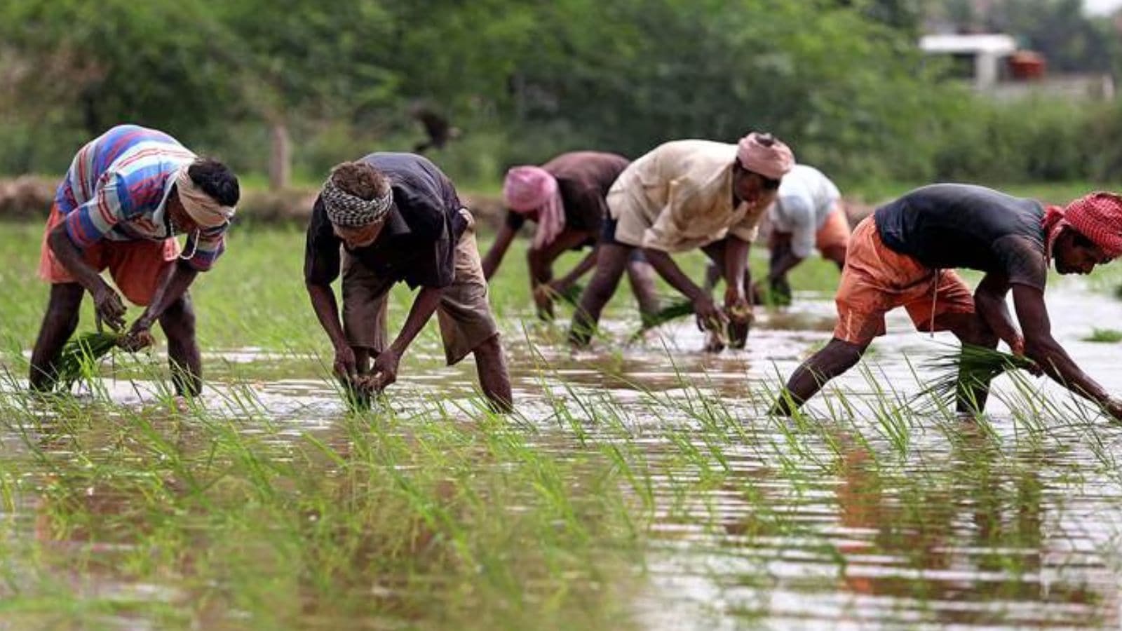 Include our demands in Assembly election manifesto, Farm unions tell Punjab BJP Include our demands in Assembly election manifesto, Farm unions tell Punjab BJP