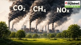 global warming
