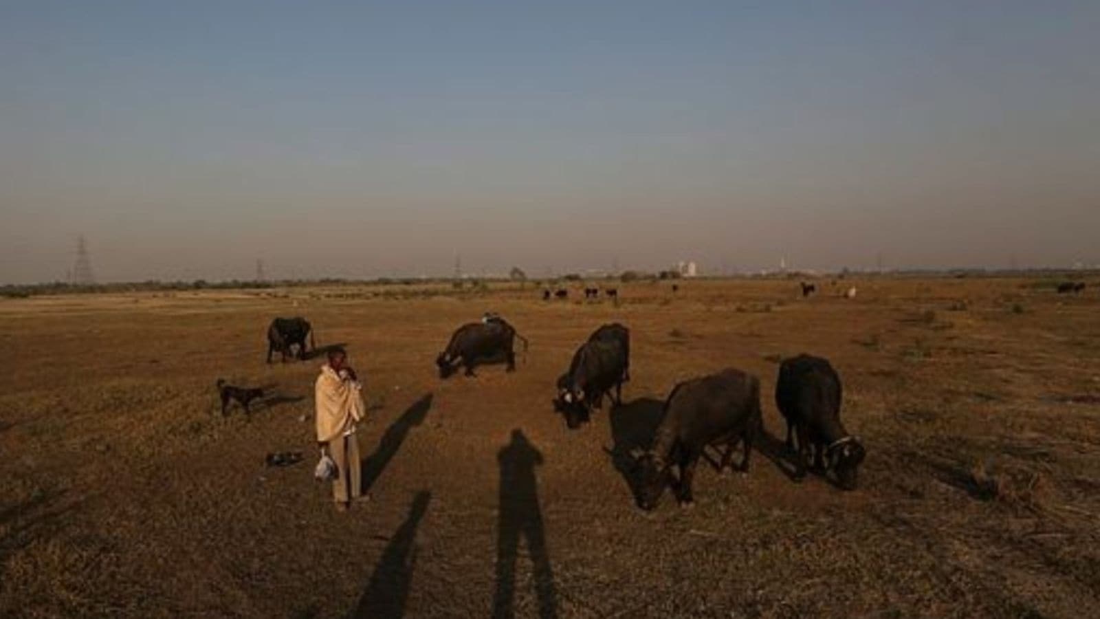 Maharashtra Assembly passes bills to use grazing land for public works, speed up stamp duty refunds