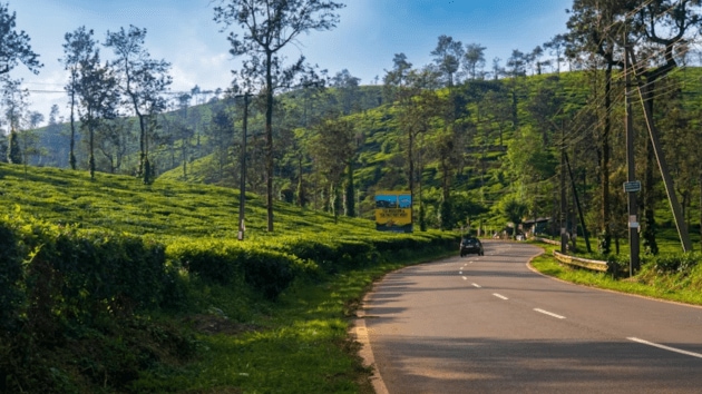 travel