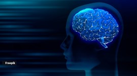 Chinese researchers have developed an AI chip capable of reconstructing complex brain structures in real time. (Image for representation: Magnific)
