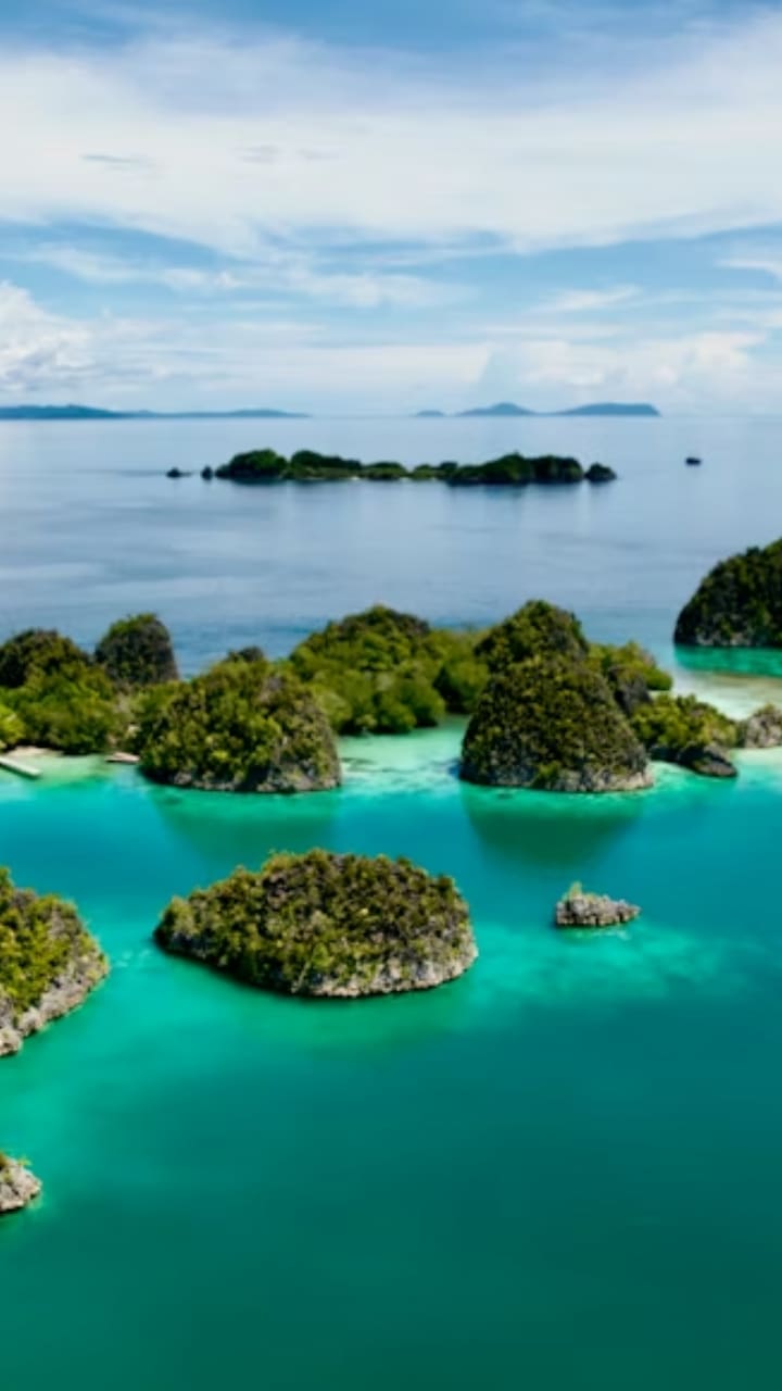 travel