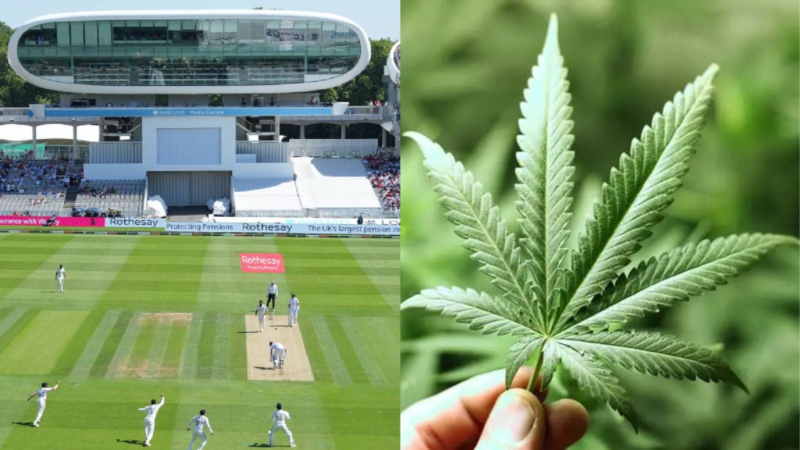 Lord’s cricket ground ends its alliance with BrewDog after Tilray Brands who produces medicinal marijuana buys Beer company