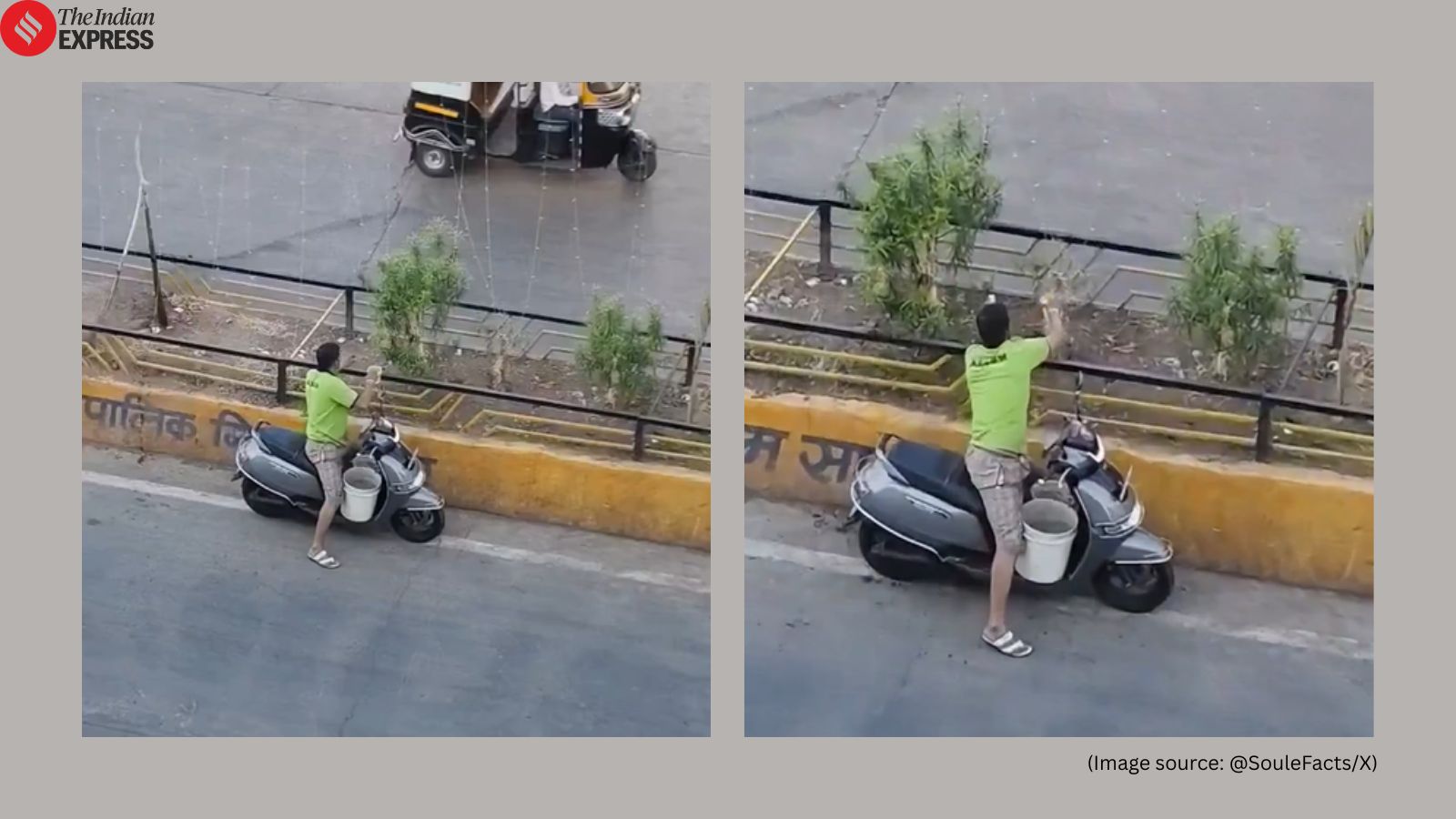 Viral video shows man quietly watering roadside plants every morning; internet calls him a ‘beautiful soul’