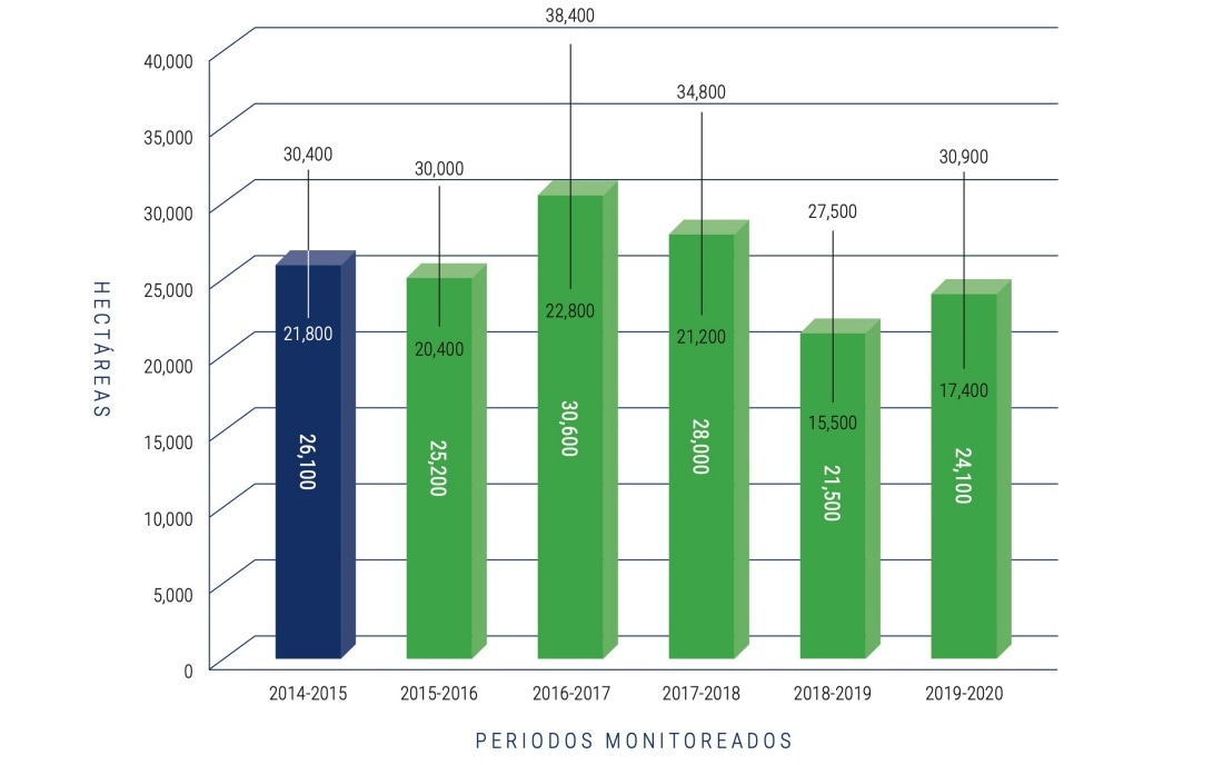 Estimated poppy cultivation areas by study period (source: UNODC)