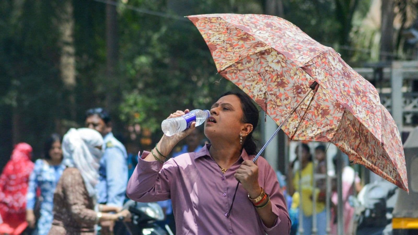 IMD sounds yellow warning for Mumbai, Thane; hot & humid conditions, temperature to soar to 36 degrees