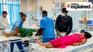 8 dead in Nalanda temple stampede: Why crowds can frequently turn deadly in India