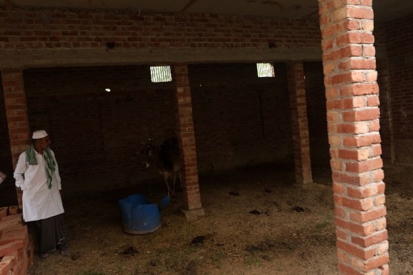 Mohammadganj, Bareilly district, Jummat-ul-Wida prayers, Bareilly, namaz, Bareilly namaz, group in UP village to offer namaz, UP village to offer namaz, Lucknow news, Uttar pradesh news, Indian express, Current affairs