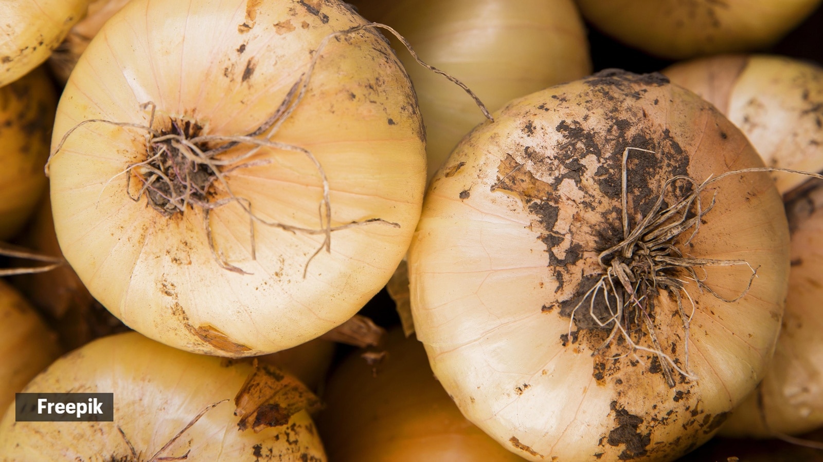 onion juice