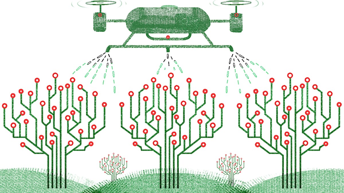 AI anxiety can turn into an advantage for Atmanirbhar India