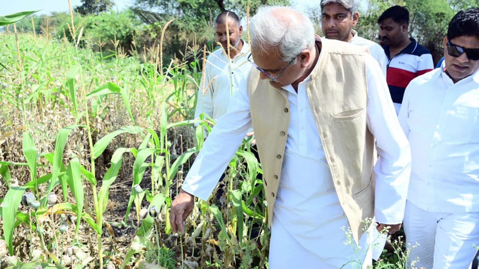 Drama in Assembly after BJP leader is arrested for ‘growing opium’ on 5 acres, 29 from Chhattisgarh Congress suspended