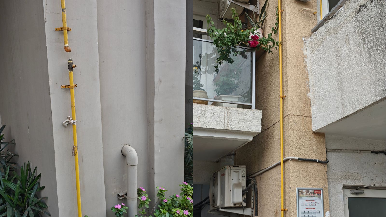 The Art of Baking: From Classic Bread to Artisan Pastries