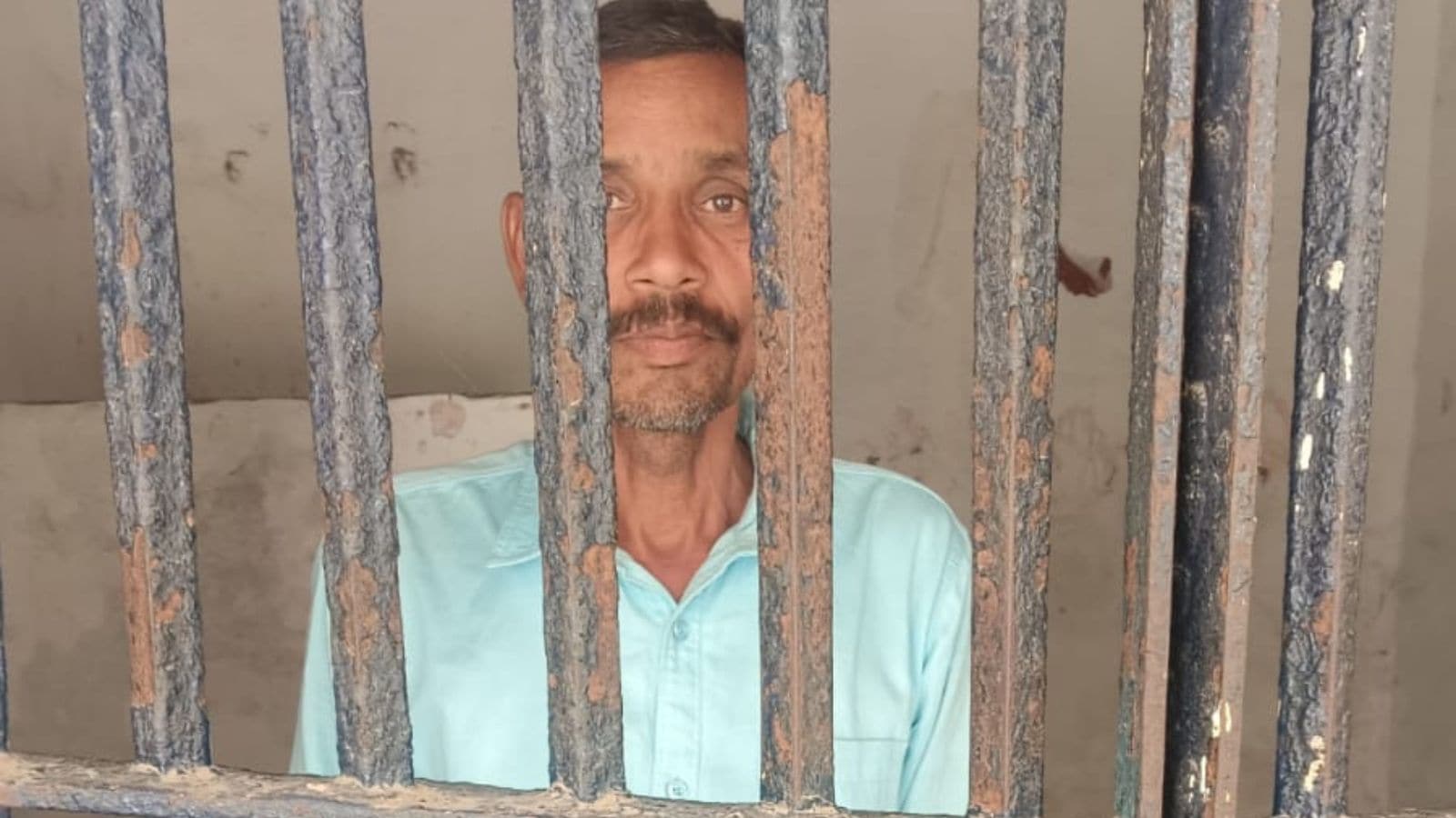 The Art of Baking: From Classic Bread to Artisan Pastries