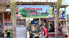purandar sugarcane