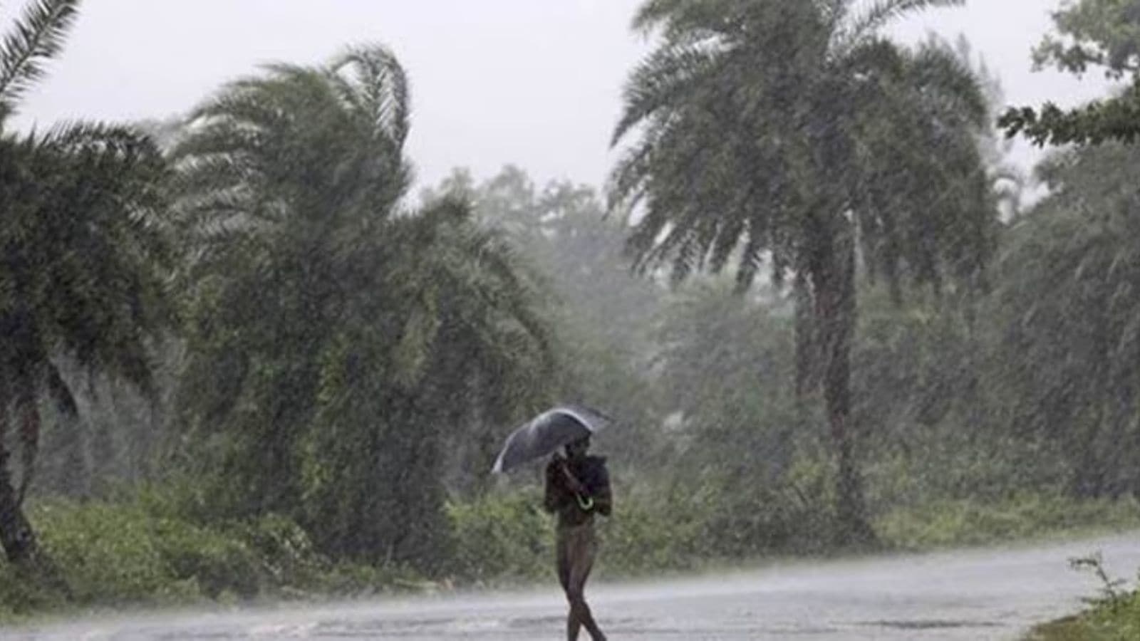 The Art of Baking: From Classic Bread to Artisan Pastries