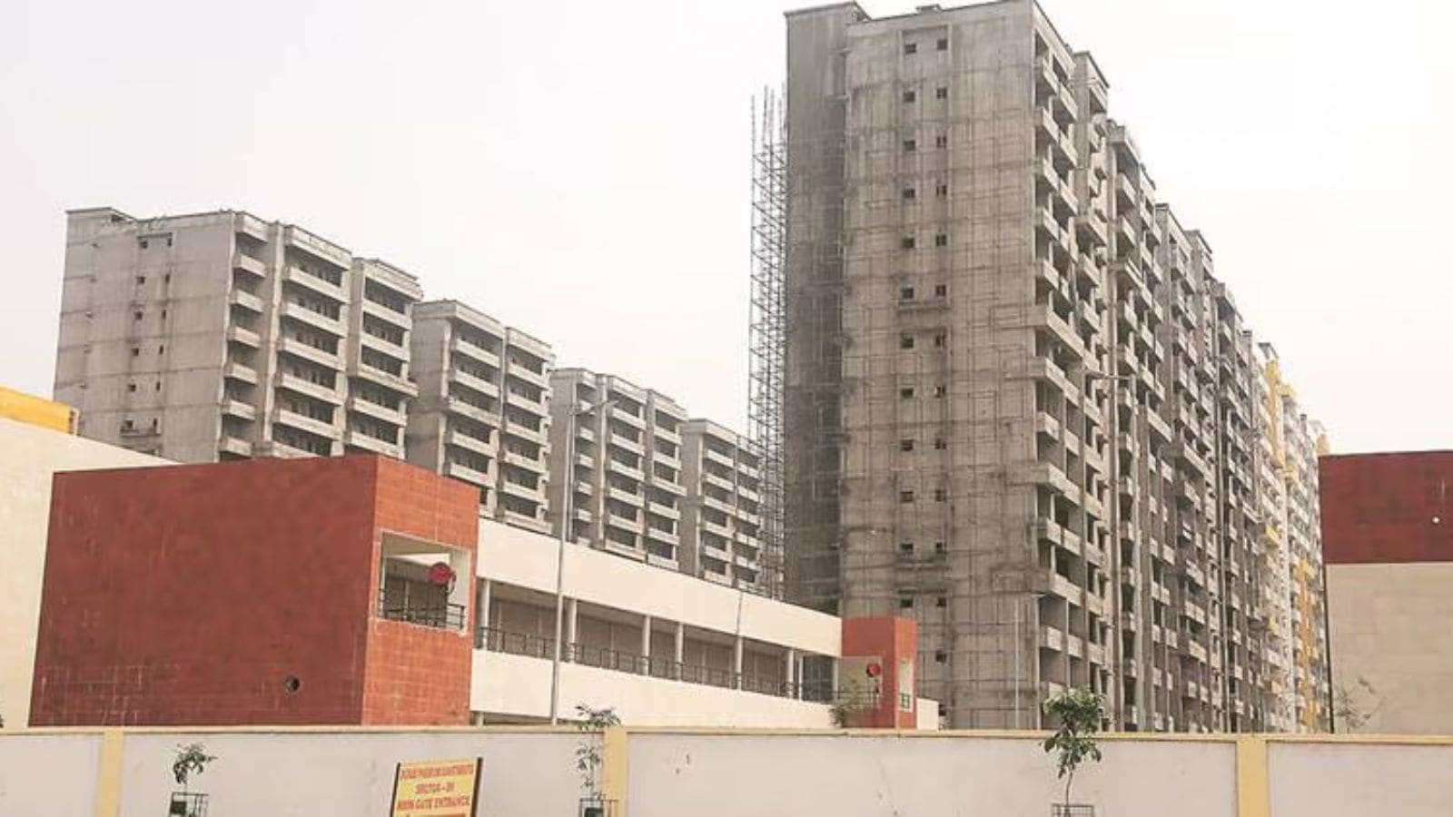 The Art of Baking: From Classic Bread to Artisan Pastries