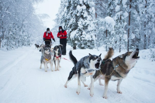 Rovaniemi, Finnish Lapland