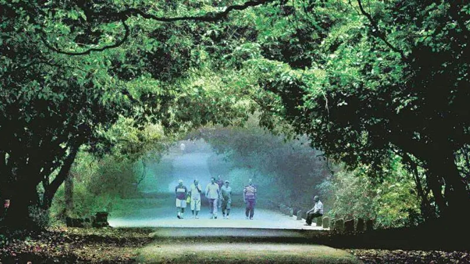 Maharashtra clears SGNP eco-sensitive zone plan, pushes sustainable tourism