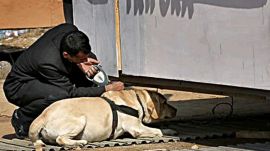 Gurgaon schools bomb threat