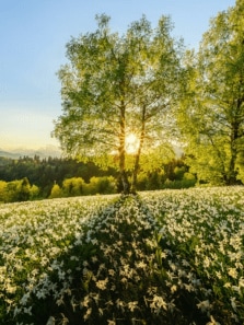 Passport to Spring: 8 Must-Visit Global Getaways to Book Now
