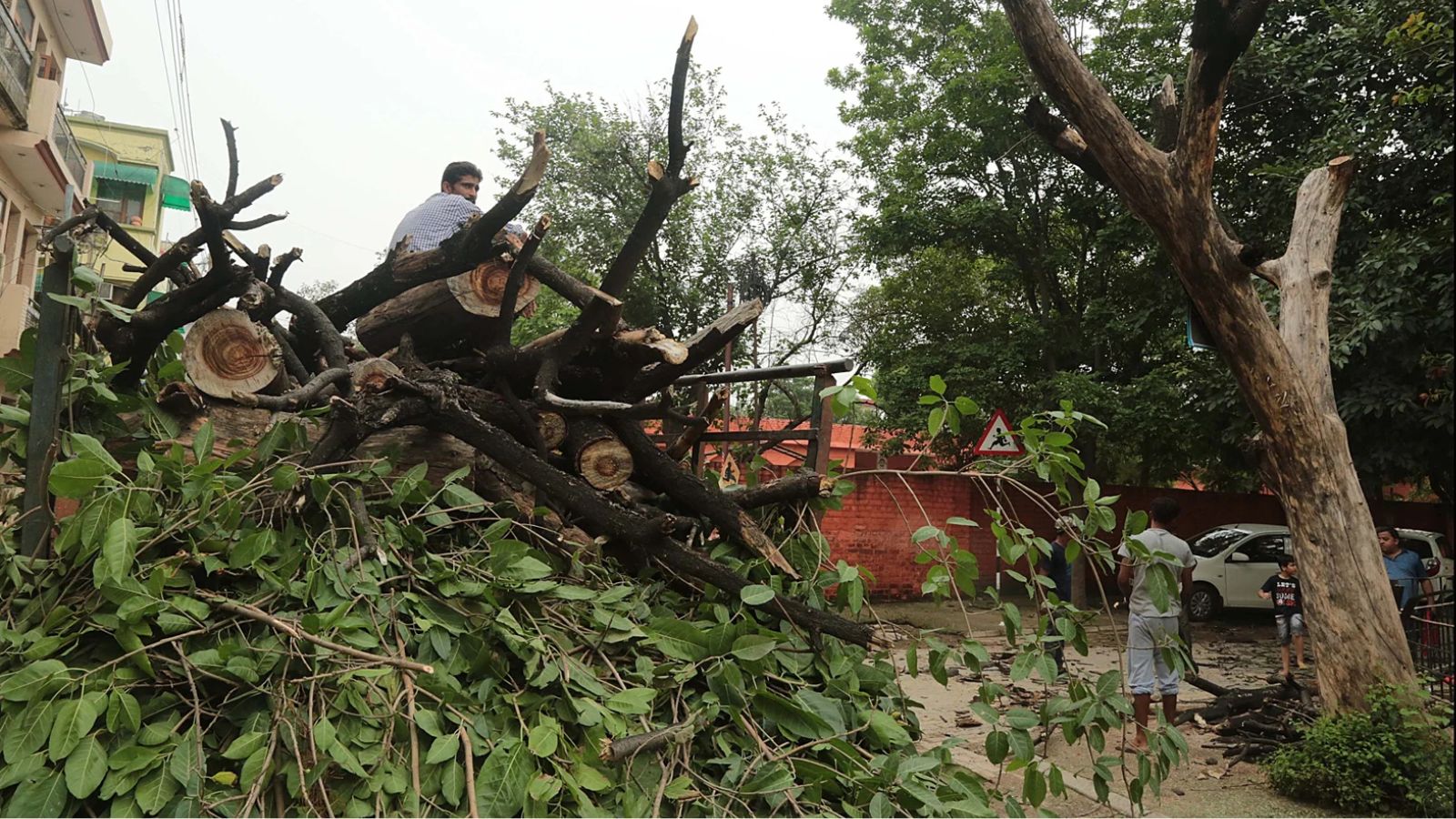 The Art of Baking: From Classic Bread to Artisan Pastries