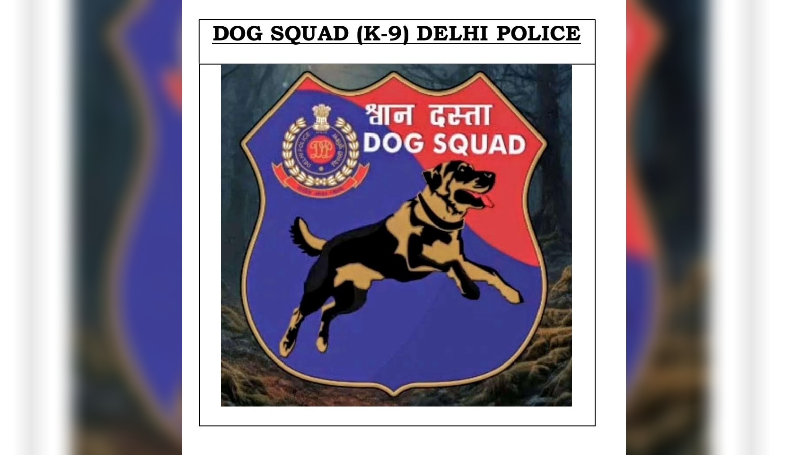 ‘Belgian Malinois, Labrador, German Shepherd’ : Delhi Police soon to welcome 72 dogs to its K-9 unit in its largest acquisition yet