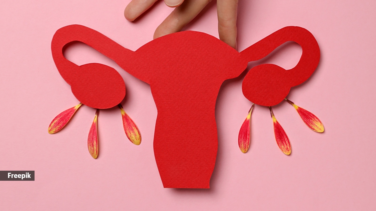 ‘My mom stopped her periods for 2 years, and now she is bleeding again. What is the problem?’