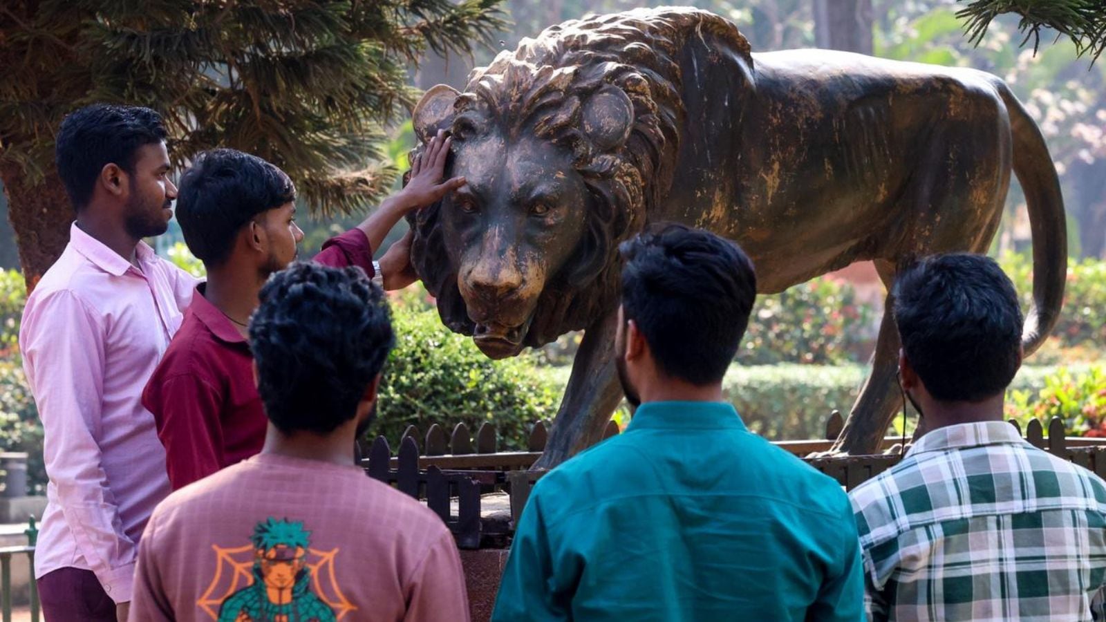 Mumbai mayor revives push for Asiatic lions at Byculla zoo after a four-year gap