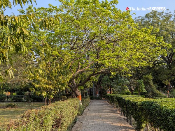 गूगल पिक्सल 10ए