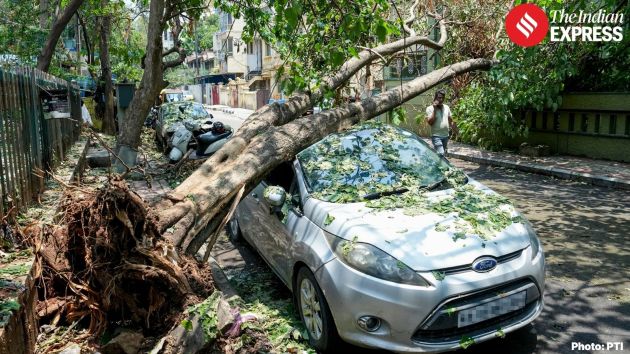 Officials said tree and branch falls were reported in around 50 locations across the city, damaging vehicles