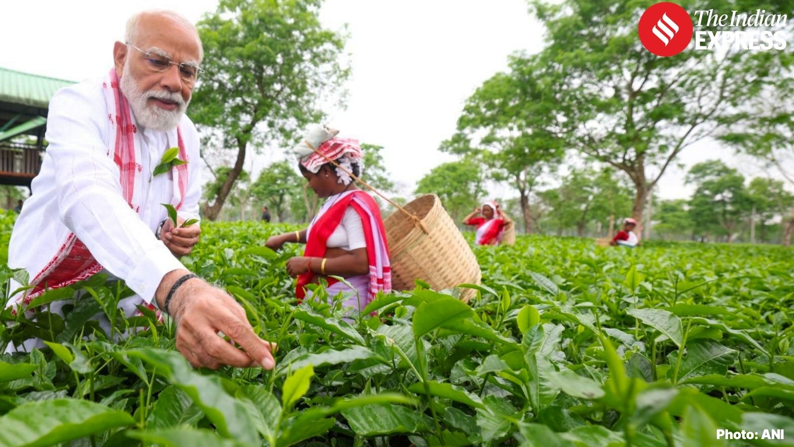 PM Modi visits Assam tea garden, interacts with workers ahead of ...