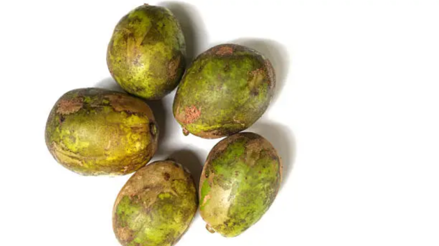 fruits