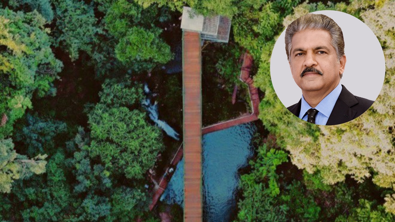 ‘Jharkhand has much to offer…’: Anand Mahindra discovers Meghahatuburu, the ‘hill of clouds’ you’ve likely never heard of