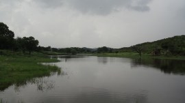 Aravari