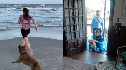 Christina Koch dog reunion video goes viral after Artemis II mission