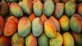 The team collected six food samples for laboratory analysis and seized 3,282.9 kilograms of adulterated mango pulp, raw mango fruit, and related materials