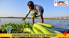 CPI, WPI, food inflation, consumer, economy, upsc