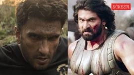 Dhurandhar 2 box office