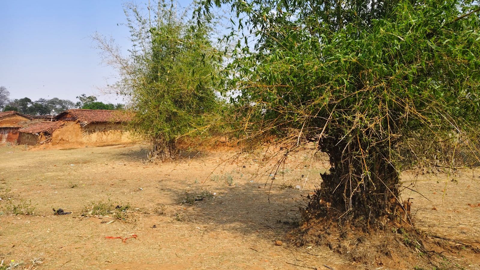 A young girl’s murder unravels into macabre ‘sacrificial killing’, turning Hazaribagh into political battleground